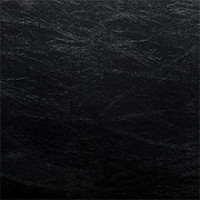 standard-black.jpg
