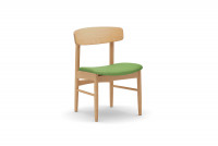 beech_tarpgreen.jpg